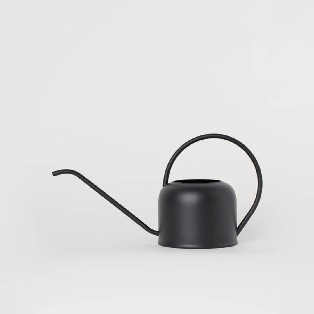 Metal Watering Can - Imagen 2